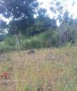 Miniature 5