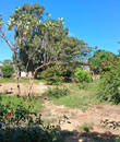 Miniature 3