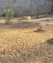Miniature 4
