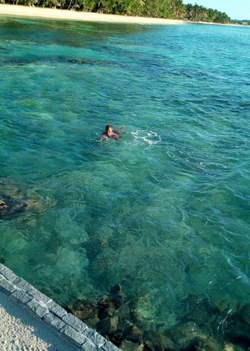 Tourisme Local