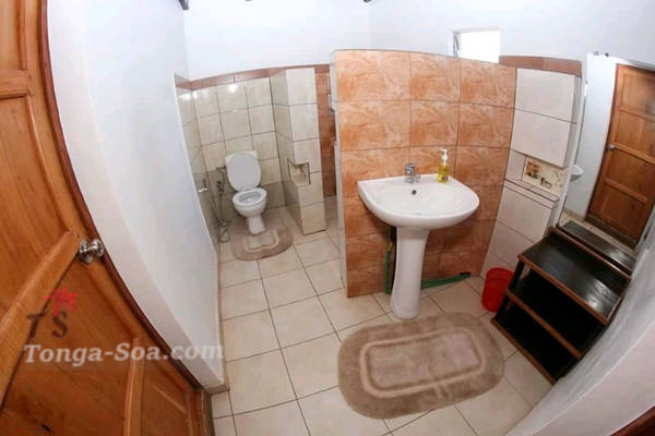 Photo 5