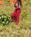 Miniature 4