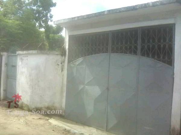 Photo 5