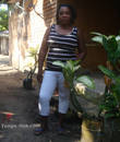 Miniature 3