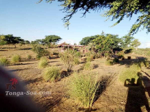Tourisme Local