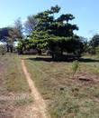 Miniature 4