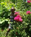 Miniature 4