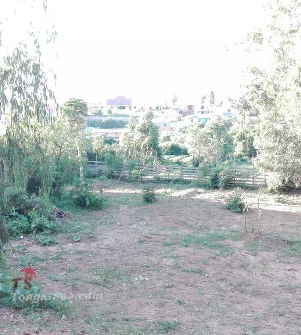 Immobilier Mada