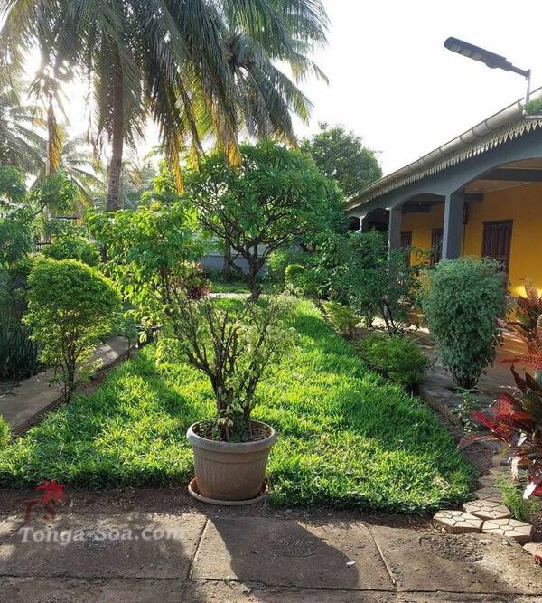 Immobilier Mada