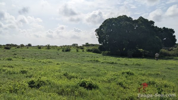 Immobilier Mada