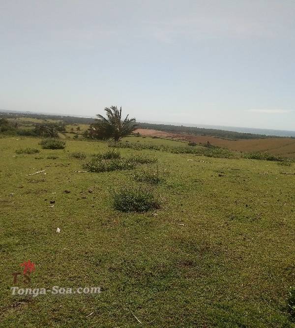 Immobilier Mada