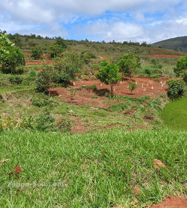 Immobilier Mada