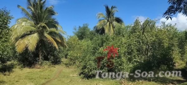 Immobilier Mada