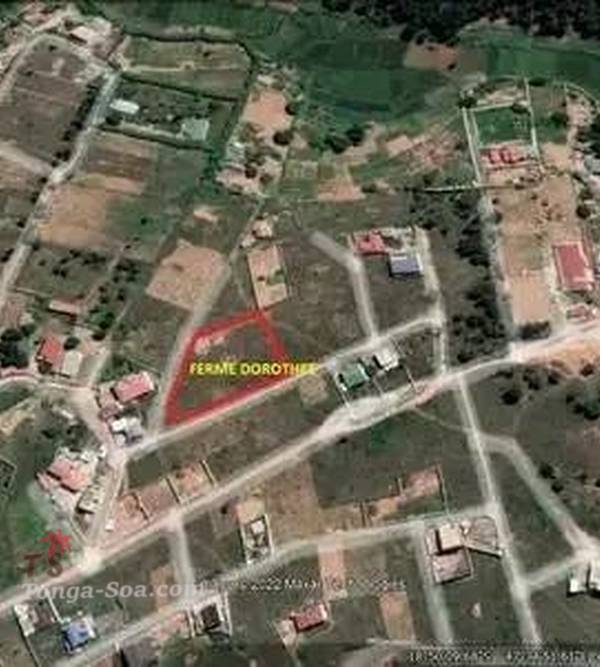 Immobilier Mada