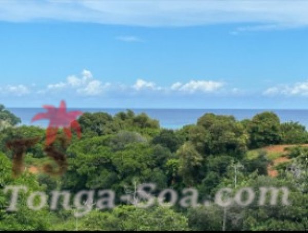 Immobilier Mada