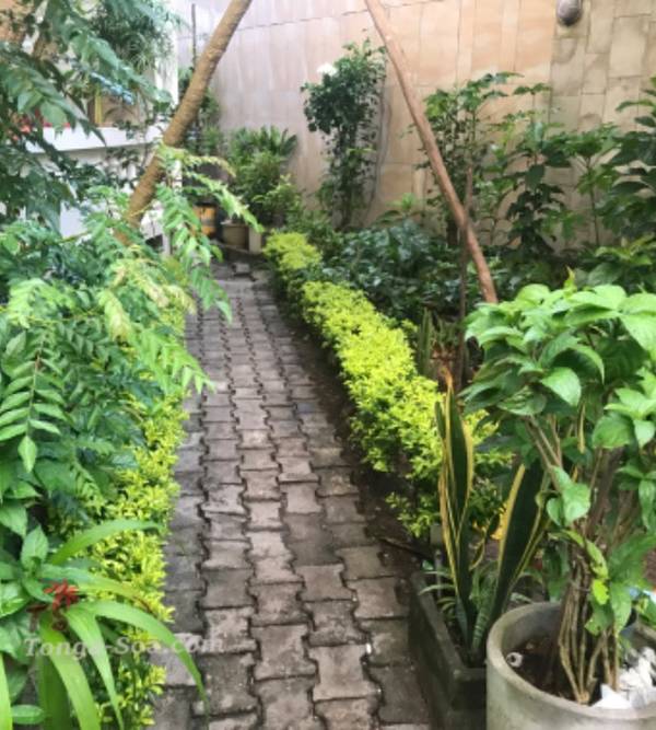 Immobilier Mada