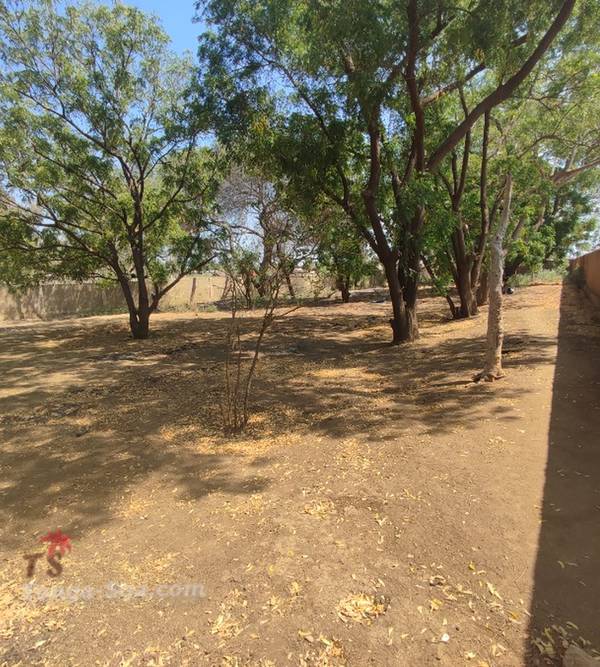 Immobilier Mada