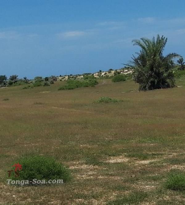 Immobilier Mada