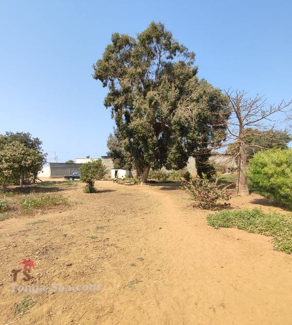 Immobilier Mada