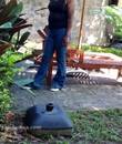 Miniature 3