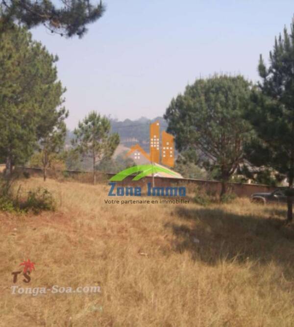 Immobilier Mada